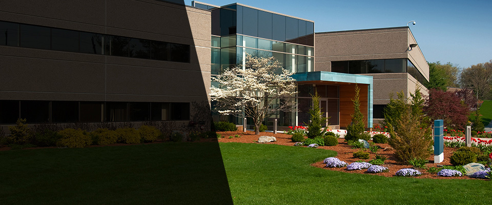 Bellmawr Landscapers