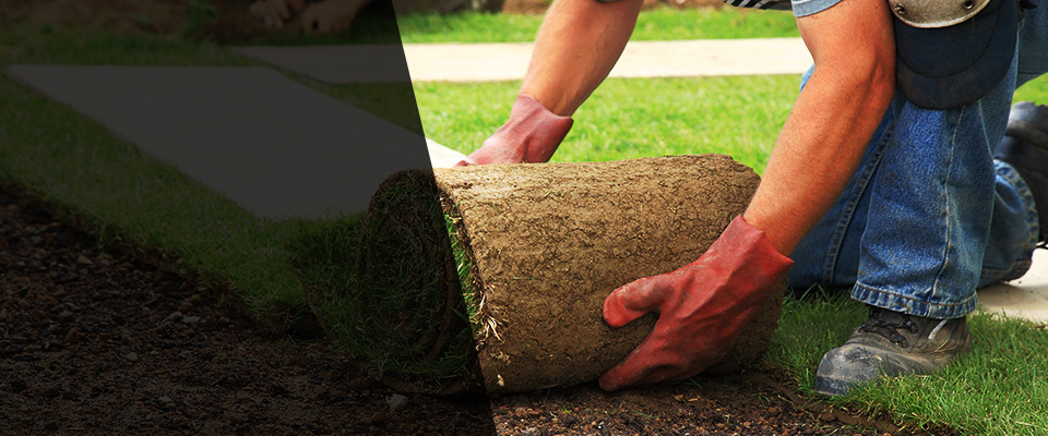 Bellmawr Landscapers